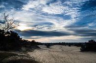 Zandvlakte van Hulshorsterzand van Ricardo Bouman thumbnail