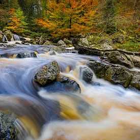 Autumn Stream by Sam Mannaerts
