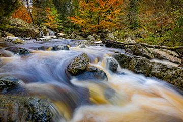 Autumn Stream