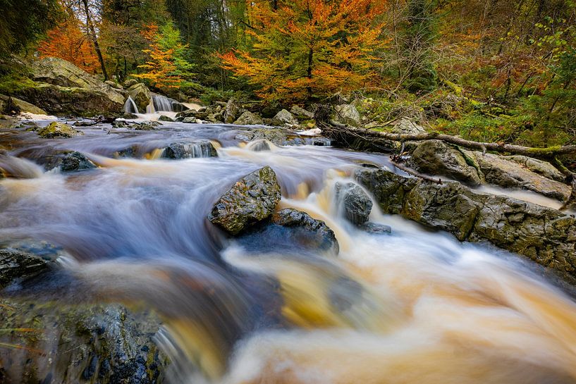 Herfststroom van Sam Mannaerts