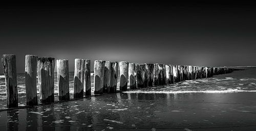 De palen in de zee in Zoutelanden Nederland