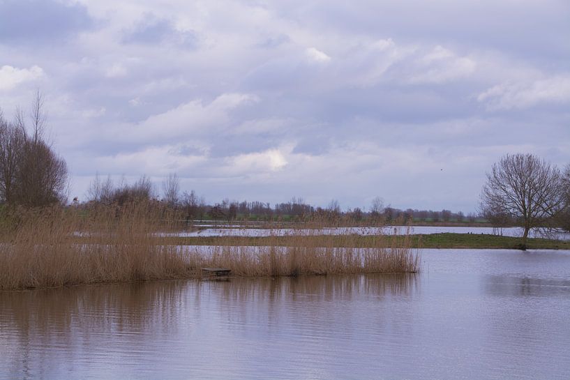 The Gat van den Ham by FotoGraaGHanneke