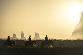 Horses at Sunset by Caroline Guerain