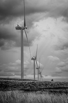 Frieden, Liebe, Hoffnung und Glaube