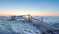 Cold Morning by Hans van der Grient thumbnail