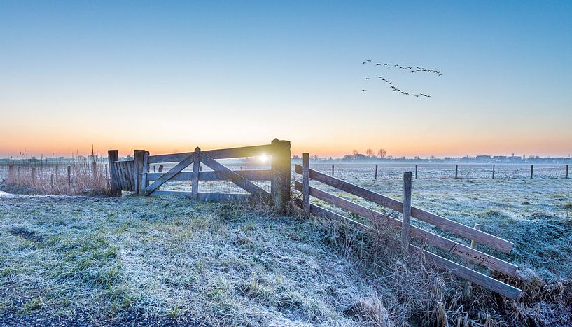 Cold Morning by Hans van der Grient