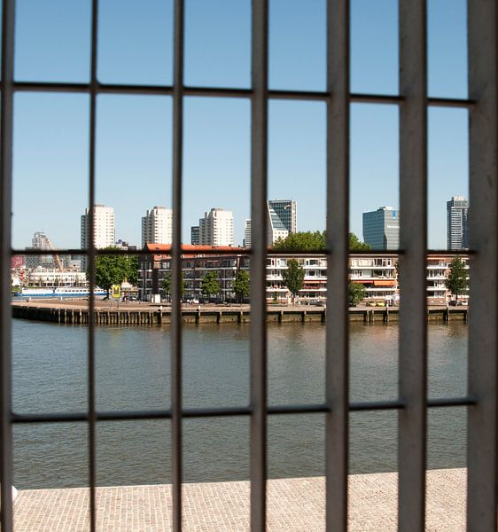 Rotterdam by Anuska Klaverdijk