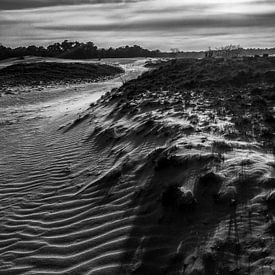 Dune by Björn Massuger