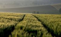 Vlaamse Ardennen