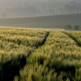 Vlaamse Ardennen van Edzo Boven