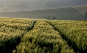 Vlaamse Ardennen von Edzo Boven