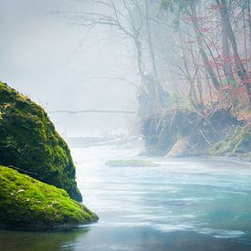 Couleurs d'automne au bord de la rivière sur Thomas Matzl