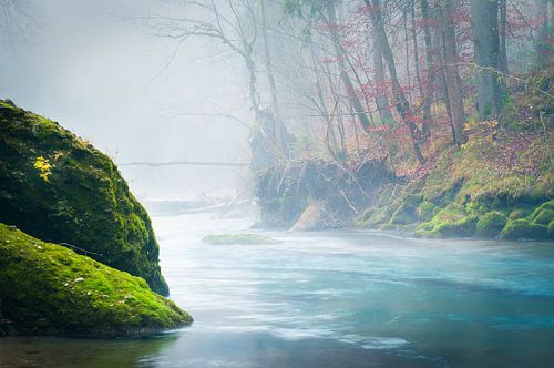 Herfstkleuren bij de rivier