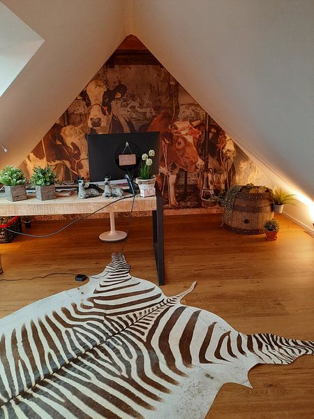 Customer photo: Dutch cows in an old barn by Inge Jansen, as wallpaper