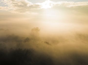 Misty forest overhead aerial view during autumn by Sjoerd van der Wal Photography