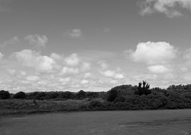 Bilder von der Nordseeinsel Borkum. von Bianca Meyering Fotos - BMF