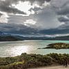 Meer in Patagonie, Chili van Trudy van der Werf
