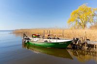 Vissersboot Warta