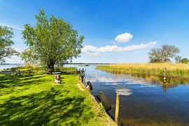 Port situé sur l'Achterwasser à Warthe, sur l'île d'Usedom