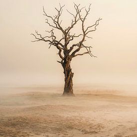Eenzame boom in mistig landschap van But First Framing