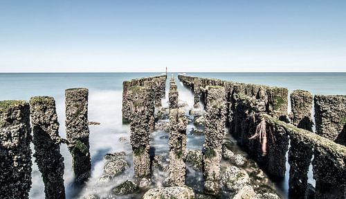 Weathered groynes Westkapelle