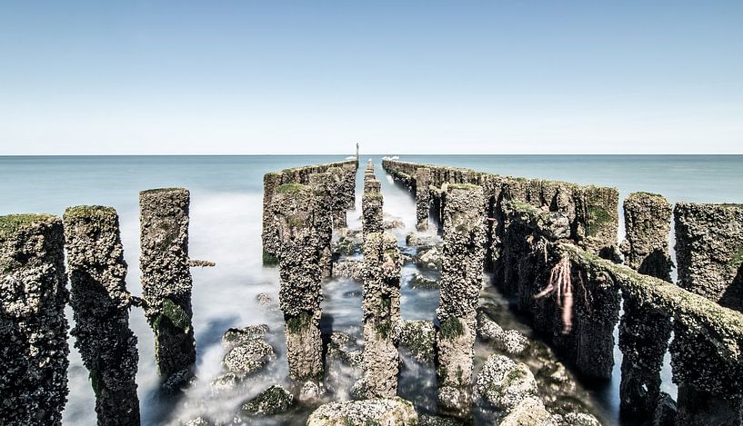 Weathered groynes Westkapelle by Josephine Huibregtse