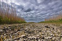 Droogte in de Westhoek