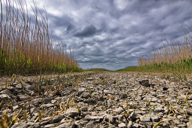 Drought in the Westhoek by Pier de Haan