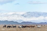 Paarden in bergachtig besneeuwd landschap Mongolië van Nanda Bussers thumbnail