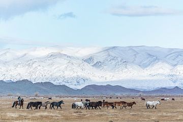 Paarden in bergachtig besneeuwd landschap Mongolië van Nanda Bussers