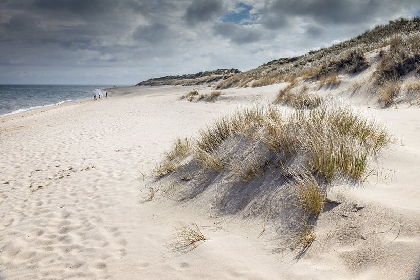 Paysage de dunes dans la réserve naturelle d'Ellenbogen près de List par Christian Müringer