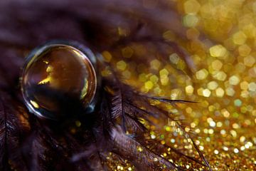 Paars en goud in een druppel gevangen. von Kvinne Fotografie
