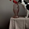 Nature morte du chat Rover reniflant des lanternes sur Lilian Bisschop