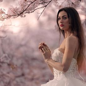 Vera van Oudheusden Profile picture