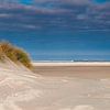 Panorama der Dünen und des Strandes von Terschelling von Anton de Zeeuw