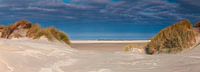 Panorama duin en strand te Terschelling