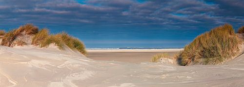 Panorama dunes and beach at Terschelling