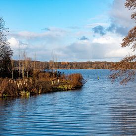 Wintersonne von Lieselotte Stienstra