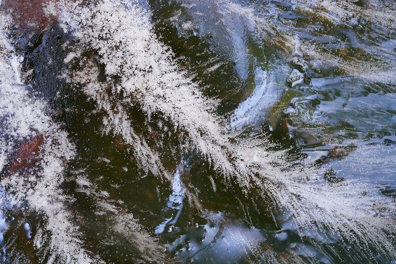 Abstrakte Eisstrukturen in einer Vogeltränke von Cor de Hamer