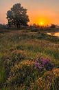 Zonsopkomst Aekingerzand van Henk Meijer Photography thumbnail