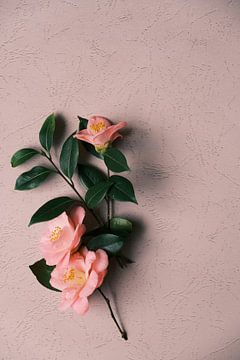 Elegant Pink Flowers on Textured Wall by kautsar1 art