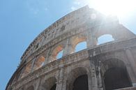 Colosseum van Saskia Hoks thumbnail