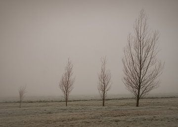 Bäume im Winter von Imagination by Mieke