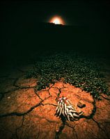 jewel in the caribbean 3