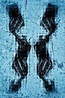 Discovery of the X-chromophone