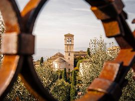 View of Assisi, Italy: Golden moments in Umbria by Timothy Morrell