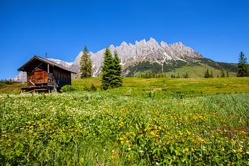 Une petite cabane au fond d'un alpage du Hochkönig sur Christa Kramer