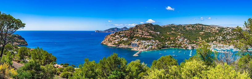Prachtig panorama-uitzicht van Port de Andratx op Mallorca van Alex Winter