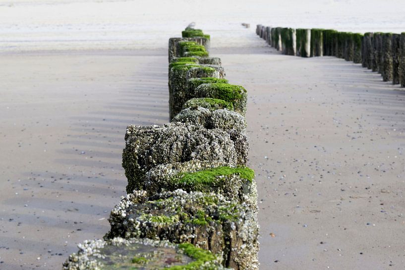 Bollards on the beach of Schouwen-Duivenland by Nicolette Vermeulen