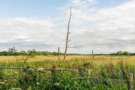 Das Bachtal „De Slokkert“ zwischen Norg und Veenhuizen von Antje Verleg-Dijk
